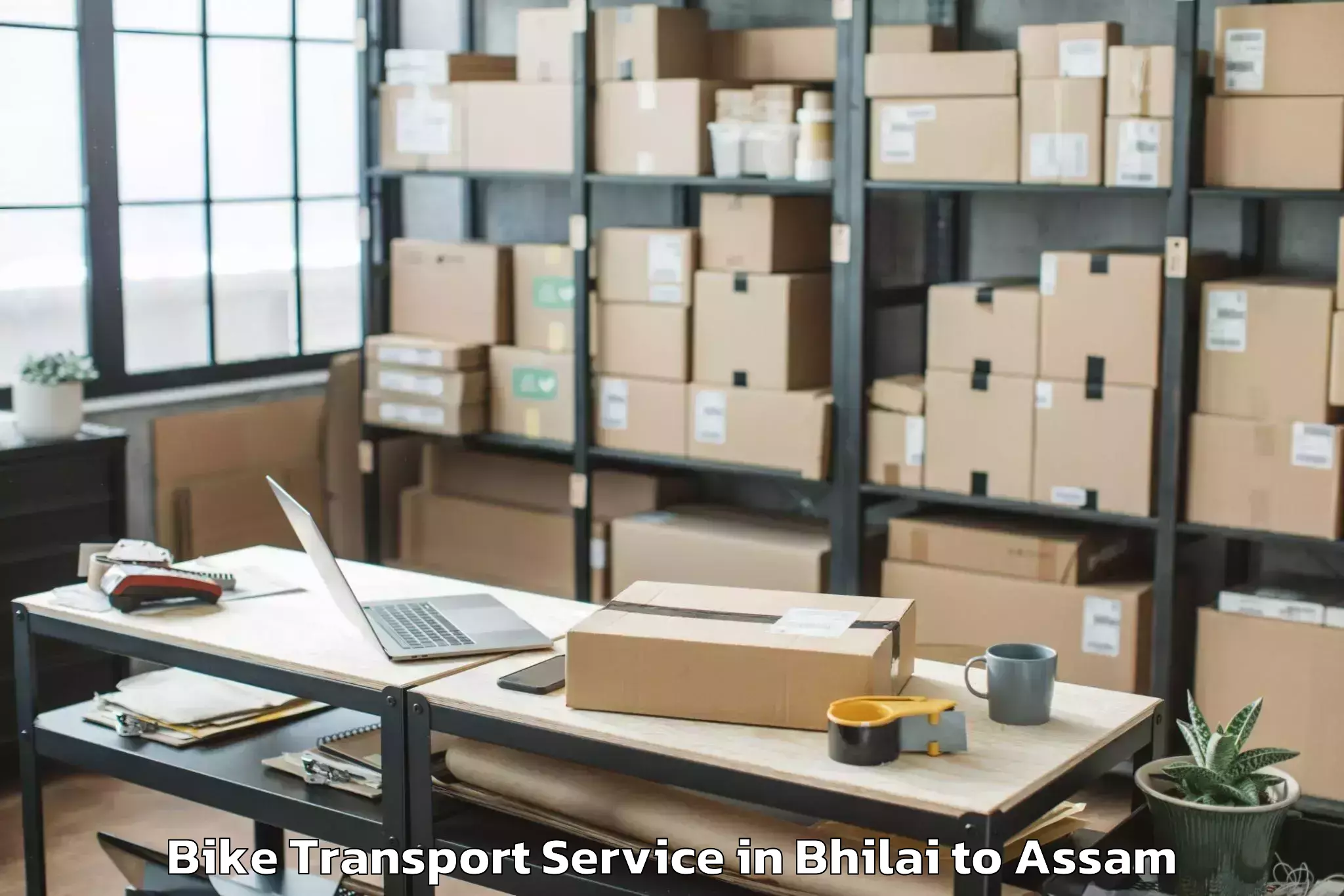 Book Bhilai to Rangia Pt Bike Transport Online